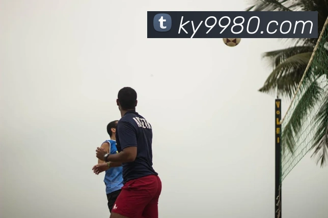 ky开云平台生态图